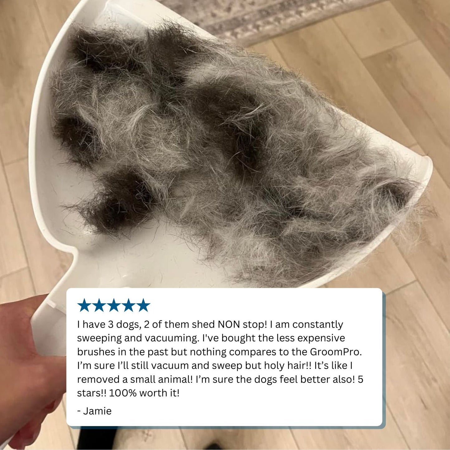 GroomPro™ 2.0 - The #1 Pet Shedding Solution