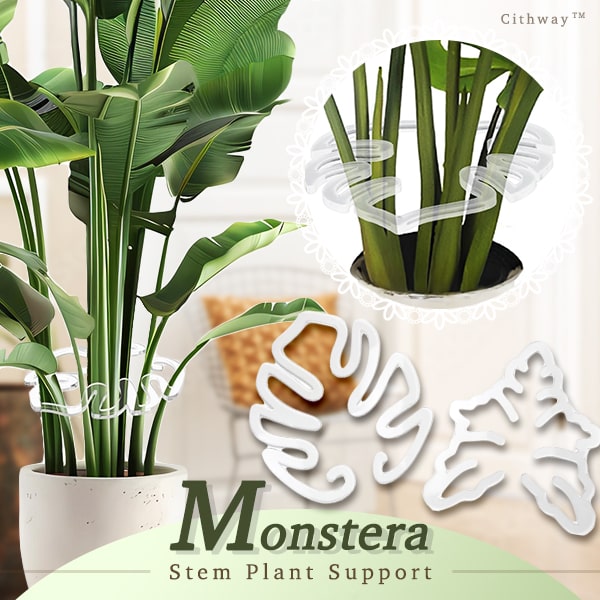 Invisible Plant Pro Stem Support