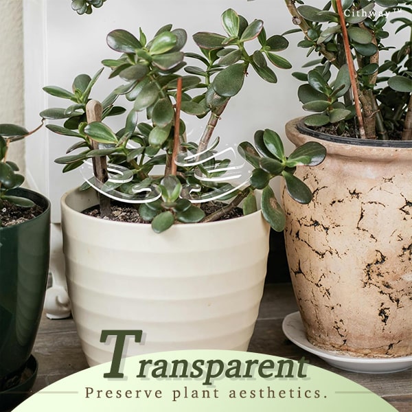 Invisible Plant Pro Stem Support