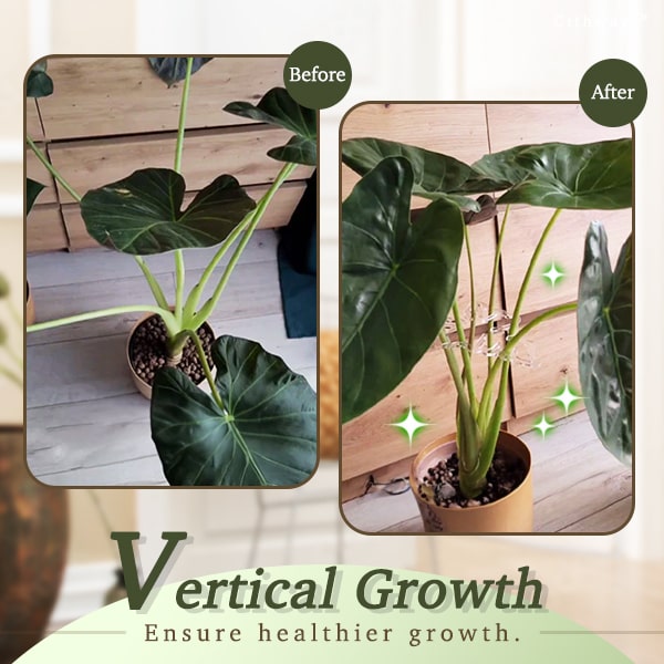 Invisible Plant Pro Stem Support