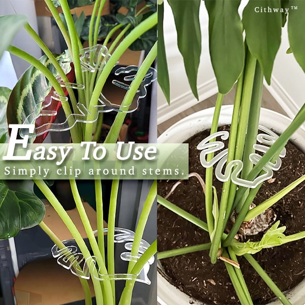 Invisible Plant Pro Stem Support
