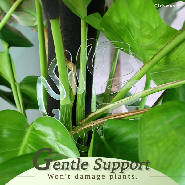 Invisible Plant Pro Stem Support