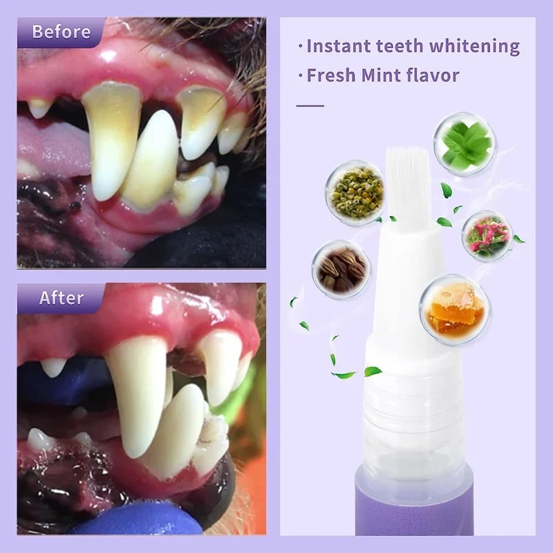Avaioo Pet Oral Repair Gel