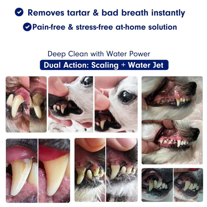 Avaioo kit Silent Sonic Plaque & Tartar Remover for dogs
