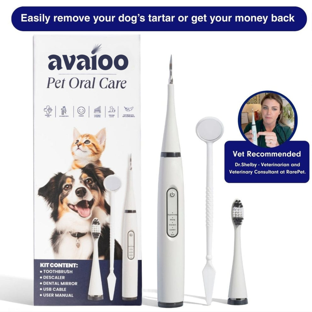 Avaioo kit Silent Sonic Plaque & Tartar Remover for dogs