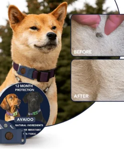 12 Months Flea and Tick Free