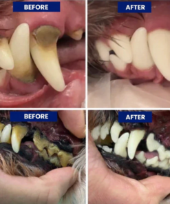 Alternative view of Avaioo kit Silent Sonic Plaque & Tartar Remover for dogs